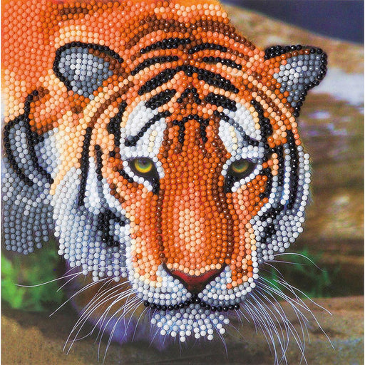 Crystal Art - CA Card - Tiger - Limolin 
