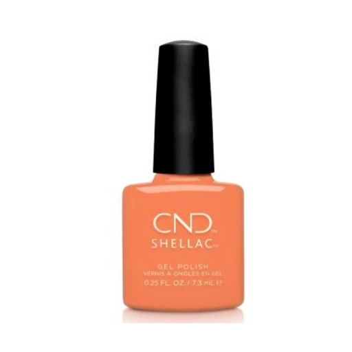 CND - Shellac Catch Of The Day - Limolin 