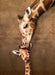Eurographics - Giraffe Mother'S Kiss (1000-Piece Puzzle)