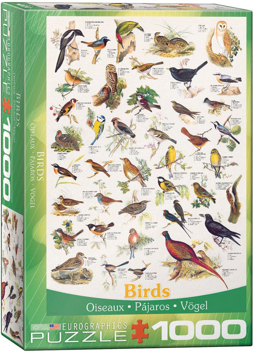 Eurographics - Birds (1000-Piece Puzzle)