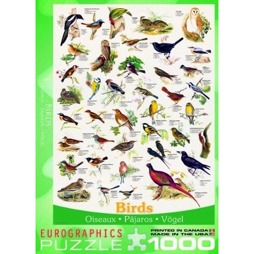 Eurographics - Birds (1000-Piece Puzzle)