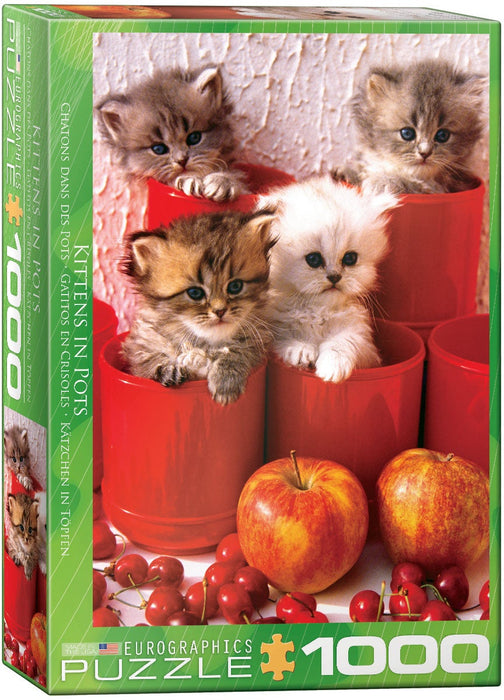 Eurographics - Kittens In Pots (1000-Piece Puzzle)
