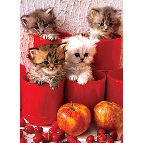Eurographics - Kittens In Pots (1000-Piece Puzzle)