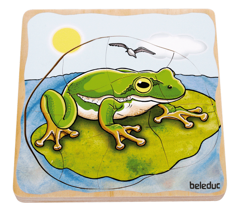 Beleduc - Layer Puzzle - Frog - Limolin 