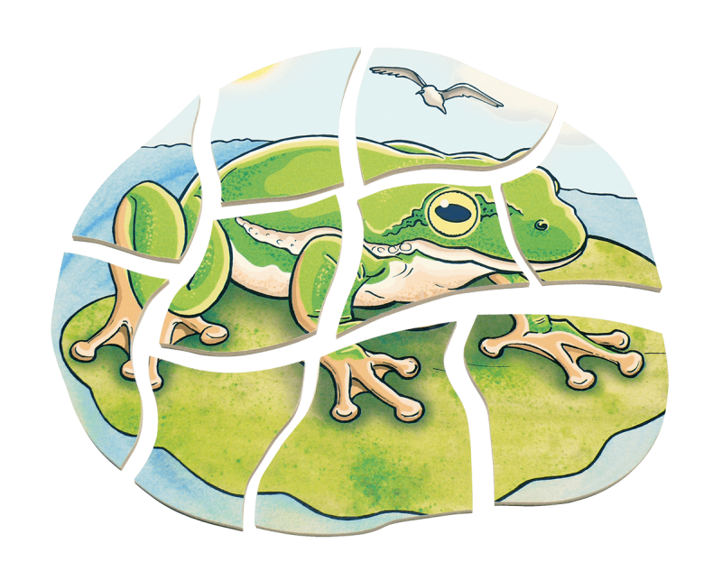 Beleduc - Layer Puzzle - Frog - Limolin 