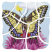 Beleduc - Layer Puzzle - Butterfly - Limolin 