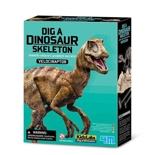 4M - Dig A Dinosaur - Velociraptor - Limolin 