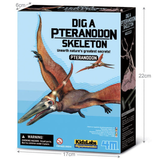 4M - Dig A Pteranadon Skeleton - Limolin 