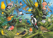 Eurographics - Garden Birds By Joahn Francis (1000-Piece Puzzle)