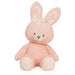 Gund - Baby - 12" 100% Recycled Pink Bunny - Limolin 