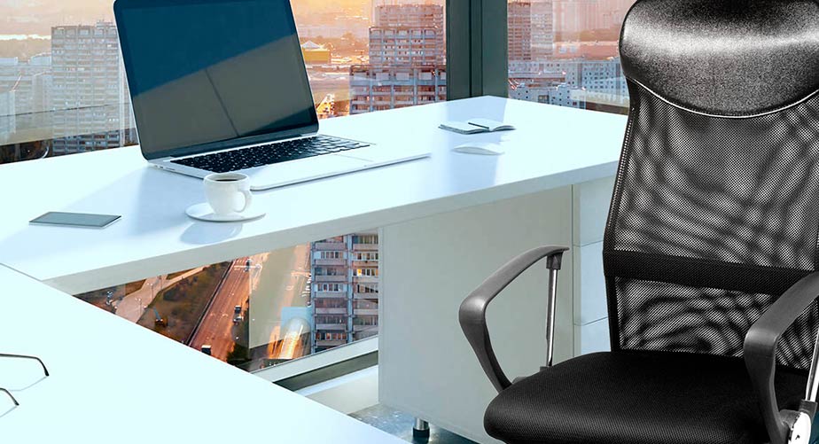 Xtech - Chair - Turin | Executive chair with armrests (AM160GEN46)