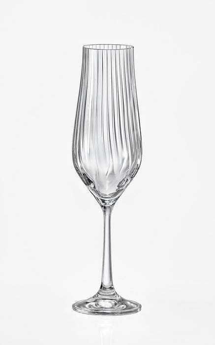 Bohemia Crystal - Tulipa Optic Champagne Flute (Set of 6)