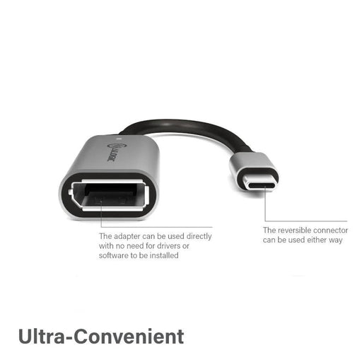 Alogic - Adapter USB-C Male to DisplayPort Female 6in 4K Ultra HD 60Hz & Thunderbolt 3 6in - Grey