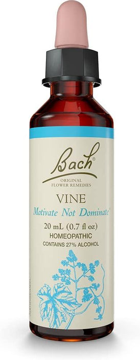 Bach - Vine 5x - Limolin 