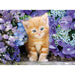 Clementoni - Ginger Cat in Flowers (500-Piece Puzzle)