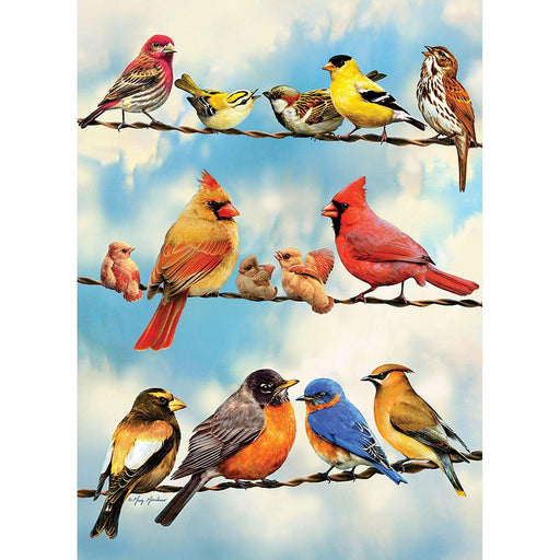 Cobble Hill - Birds On Wire (500-Piece Puzzle) - Limolin 