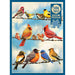 Cobble Hill - Birds On Wire (500-Piece Puzzle) - Limolin 