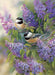 Cobble Hill - Chickadees And Lilacs (1000-Piece Puzzle) - Limolin 