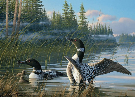 Cobble Hill - Common Loons (1000-Piece Puzzle) - Limolin 