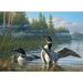 Cobble Hill - Common Loons (500-Piece Puzzle) - Limolin 