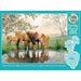 Cobble Hill - Horse Family (350-Piece Puzzle) - Limolin 