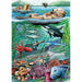 Cobble Hill - Life On The Pacific Ocean (Puzzle Tray) - Limolin 