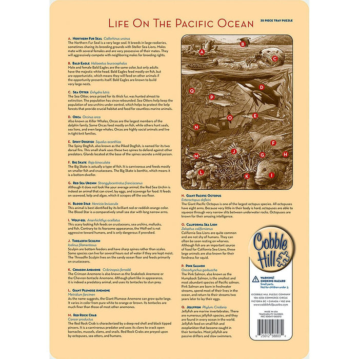 Cobble Hill - Life On The Pacific Ocean (Puzzle Tray) - Limolin 