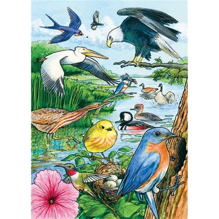 Cobble Hill - North American Birds (Puzzle Tray) - Limolin 