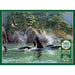 Cobble Hill - Orcas (1000-Piece Puzzle) - Limolin 