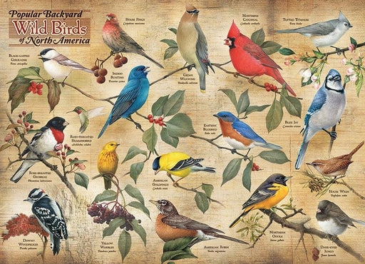 Cobble Hill - Popular Backyard Wild Birds of N.A (1000-Piece Puzzle) - Limolin 