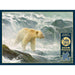 Cobble Hill - Salmon Watch - Spirit Bear (1000-Piece Puzzle) - Limolin 