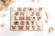 Creative Beginning - ALPHABET PUZZLE - CHALKBOARD BASE WITH TRACERS