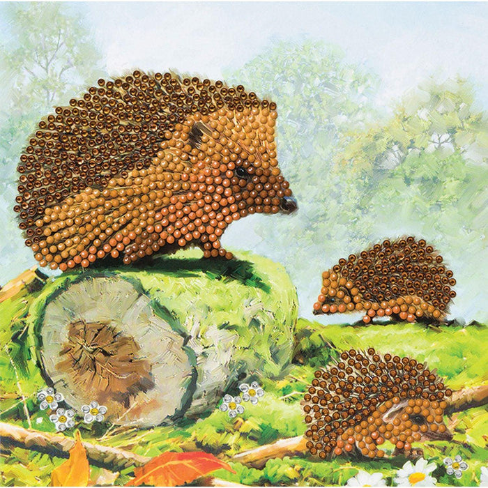 Crystal Art - CA Card - Happy Hedgehogs - Limolin 