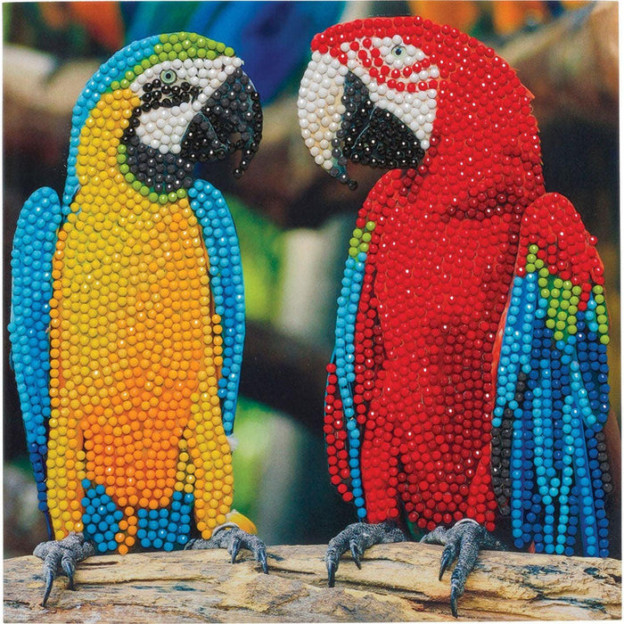 Crystal Art - CA Card - Parrot Friends - Limolin 