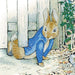 Crystal Art - CA Card - Peter Rabbit Under the Fence - Limolin 
