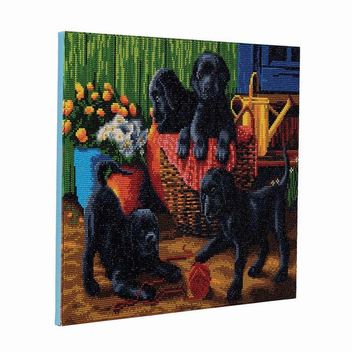 Crystal Art - CA Kit (Large) - Black Labrador Pups - Limolin 