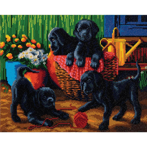 Crystal Art - CA Kit (Large) - Black Labrador Pups - Limolin 