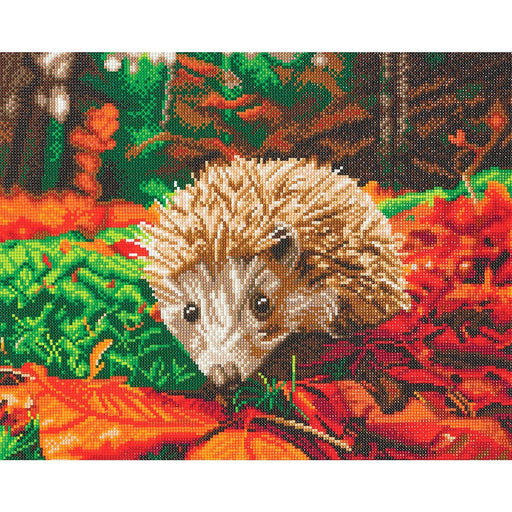 Crystal Art - CA Kit (Large) - Hedgehog - Limolin 