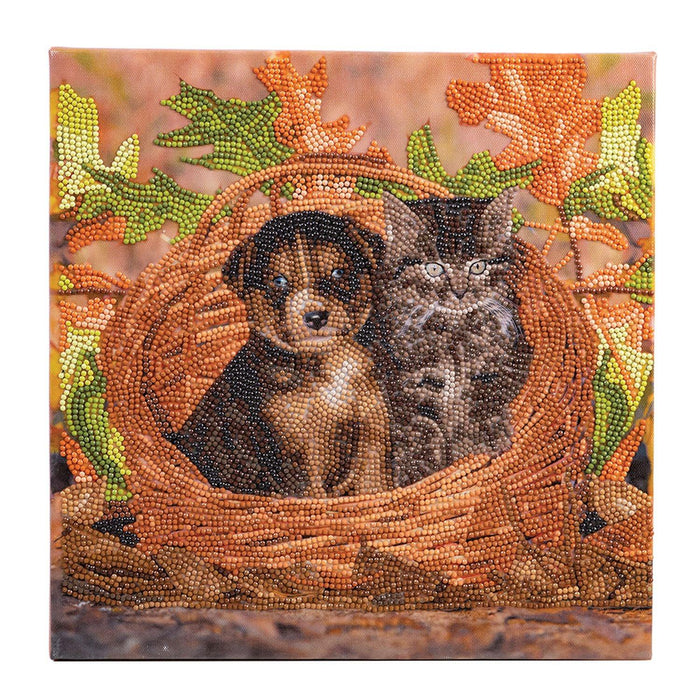 Crystal Art - CA Kit (Medium) - Best Friends - Limolin 