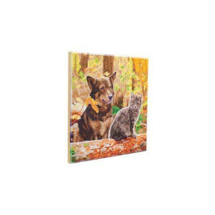 Crystal Art - CA Kit (Medium) - Cat and Dogin the Woods - Limolin 