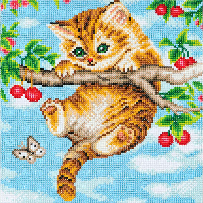 Crystal Art - CA Kit (Medium) - Cherry Kitten - Limolin 