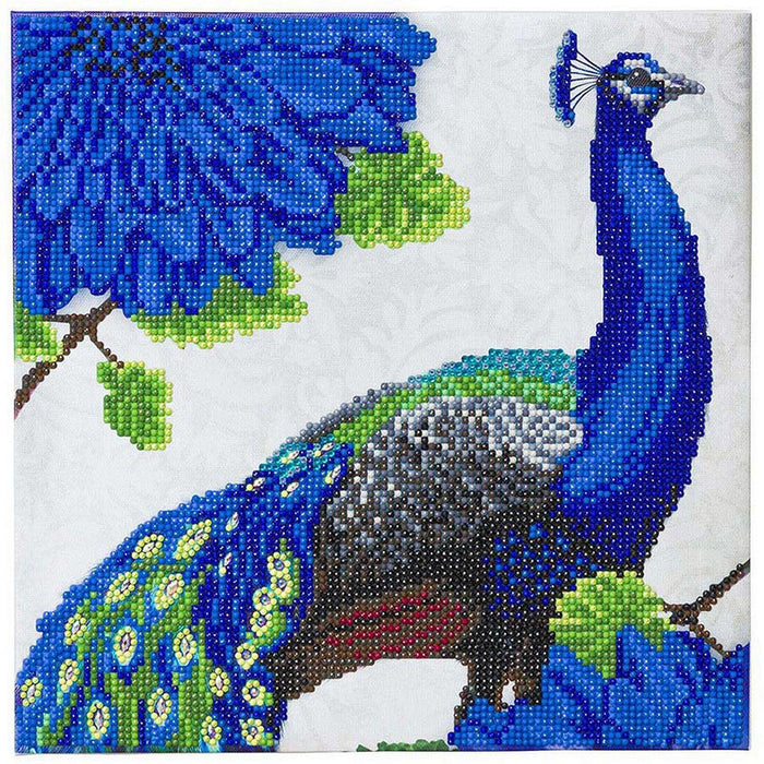 Crystal Art - CA Kit (Medium) - Flowering Peacock - Limolin 