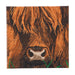 Crystal Art - CA Kit (Medium) - Highland Cow - Limolin 