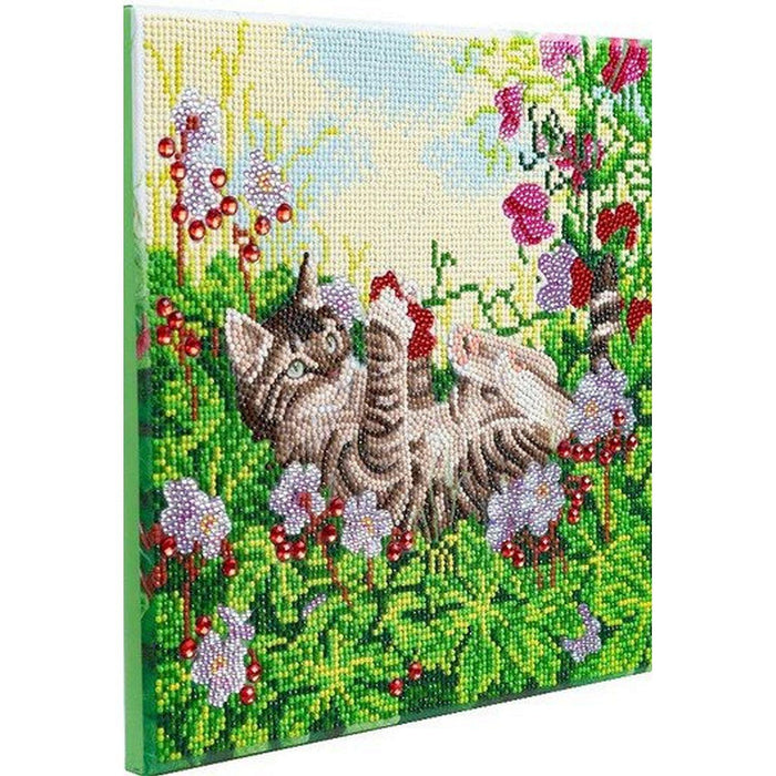 Crystal Art - CA Kit (Medium) - Playful Cat - Limolin 