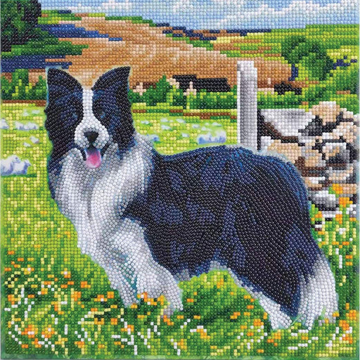 Crystal Art - CA Kit (Medium) - Pupin the Field - Limolin 