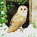 Crystal Art - CA Kit (Medium) - Snowy Owl - Limolin 
