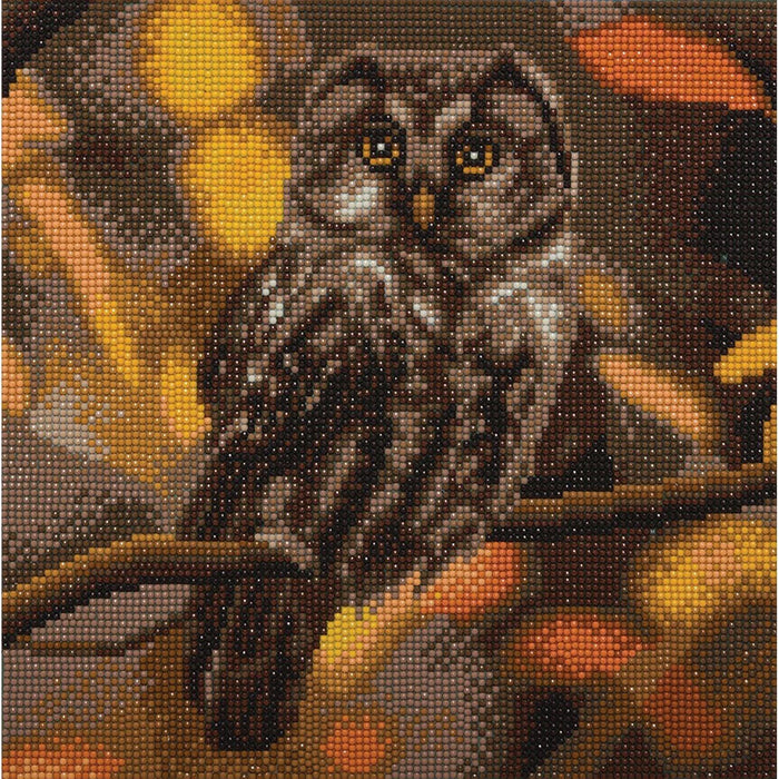 Crystal Art - CA Kit (Medium) - Tawny Owl - Limolin 