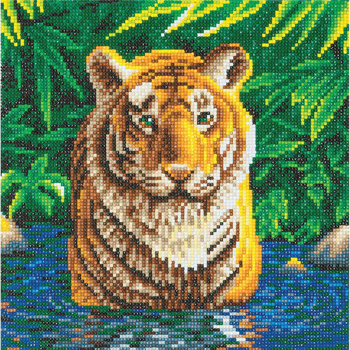 Crystal Art - CA Kit (Medium) - Tiger Pool - Limolin 