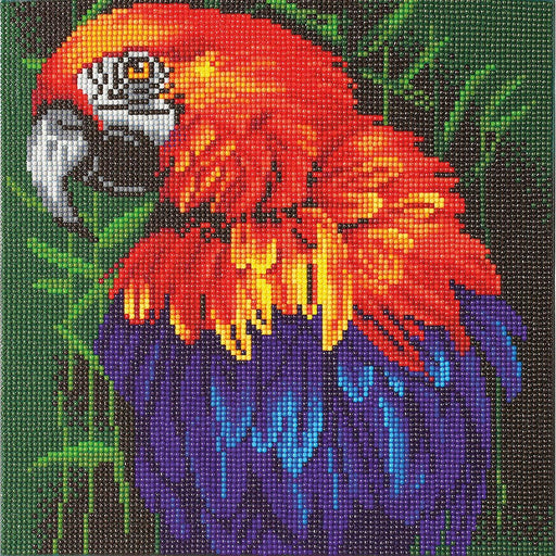 Crystal Art - CA Kit (Medium) - Tropical Bird - Limolin 