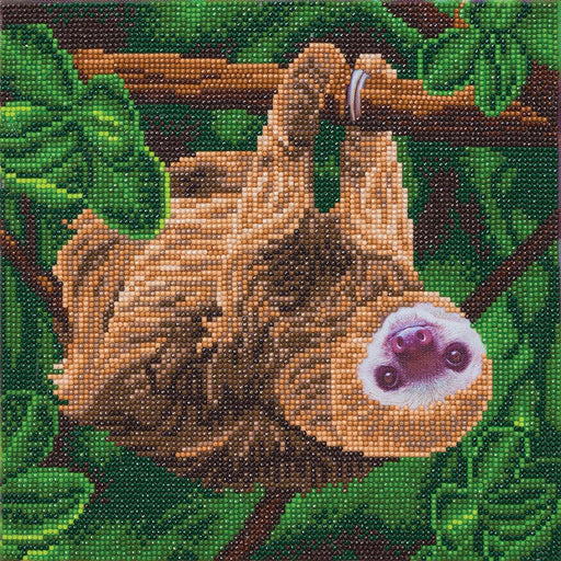 Crystal Art - CA Kit (Medium) - Two Toed Sloth - Limolin 